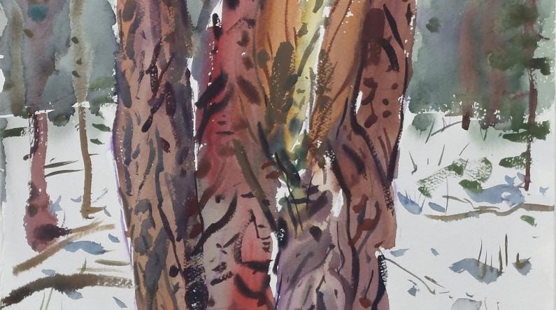 Piece 'Raita talvella' (Goat willow in the winter) by Jukka Lappalainen